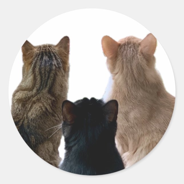 Rond Sticker Geronimo, Henri & Floyd (Devant)