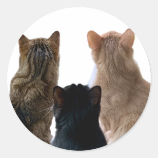 Rond Sticker Geronimo, Henri & Floyd