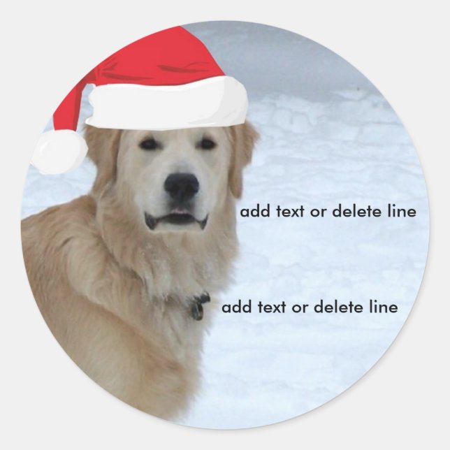 Rond Sticker Golden Retriever Santa Hat (Devant)