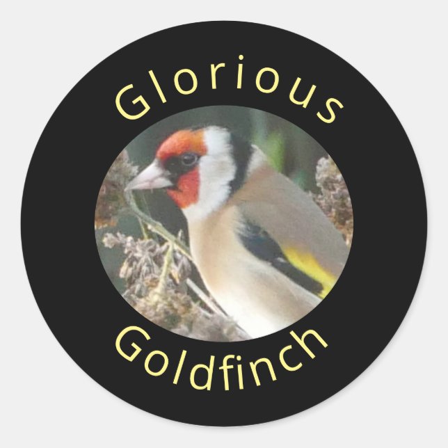 Rond Sticker Goldfinch (Devant)