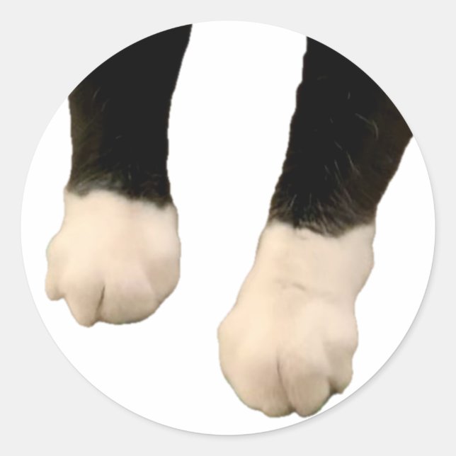 Rond Sticker Henri - Pieds ! (Devant)