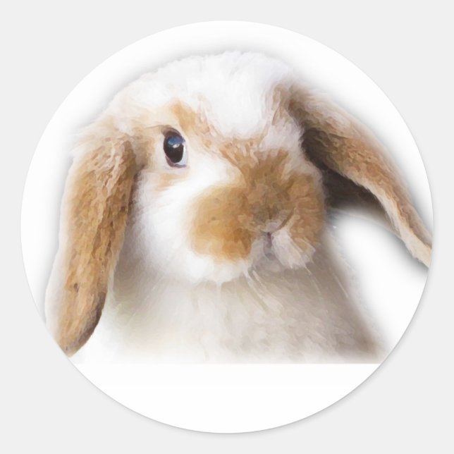 Rond Sticker Holland Lop (Devant)
