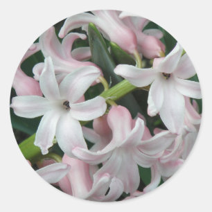 Rond Sticker Hyacinths