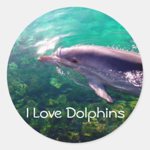 Rond Sticker I Love Dophins