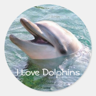 Rond Sticker I Love Dophins