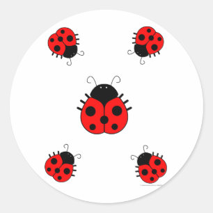 Rond Sticker Ladybugs