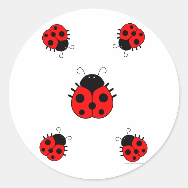Rond Sticker Ladybugs (Devant)