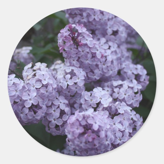 Rond Sticker Lilac Flowers (Devant)