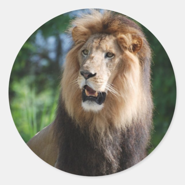 Rond Sticker Lion Regal (Devant)