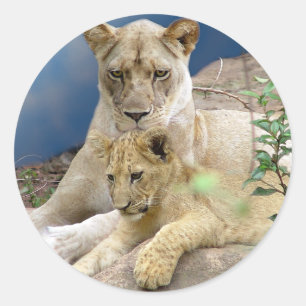 Rond Sticker lioness et Cub