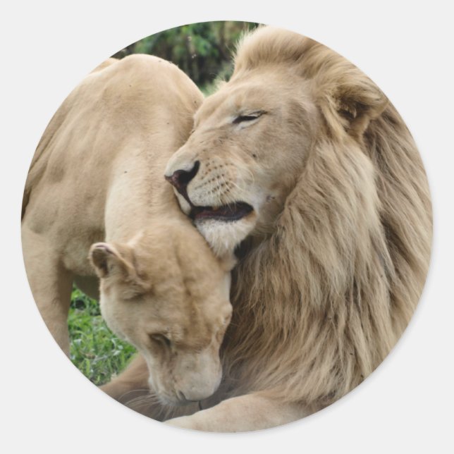 Rond Sticker Lions Lover (Devant)