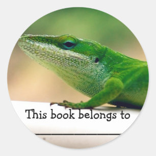 Rond Sticker Lizard Lover Anole Book