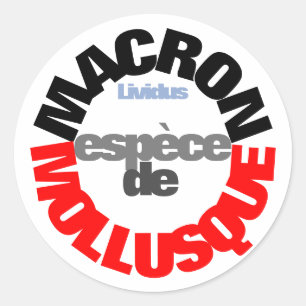 Rond Sticker Macron de Mollusque