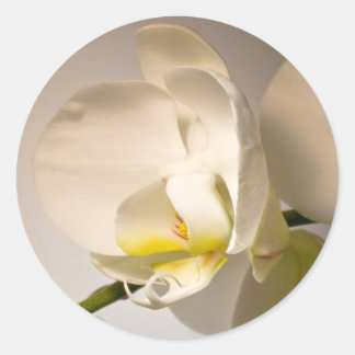 Rond Sticker Mariage de l'événement White Orchid Envelo