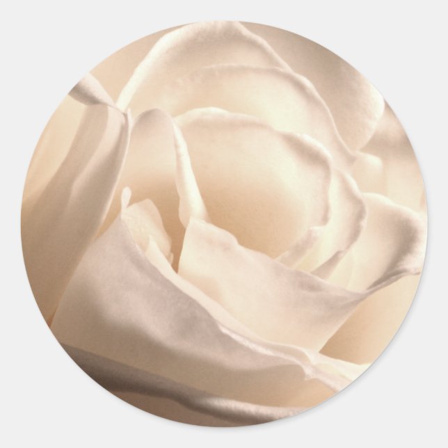 Rond Sticker Mariage d'enveloppe Rose blanche (Devant)