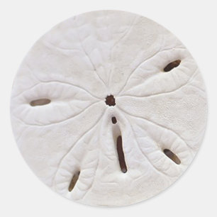 Rond Sticker mariage dollar de sable