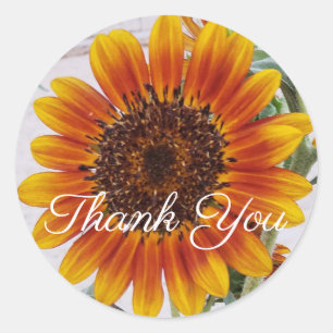 Rond Sticker Merci de tournesol orange