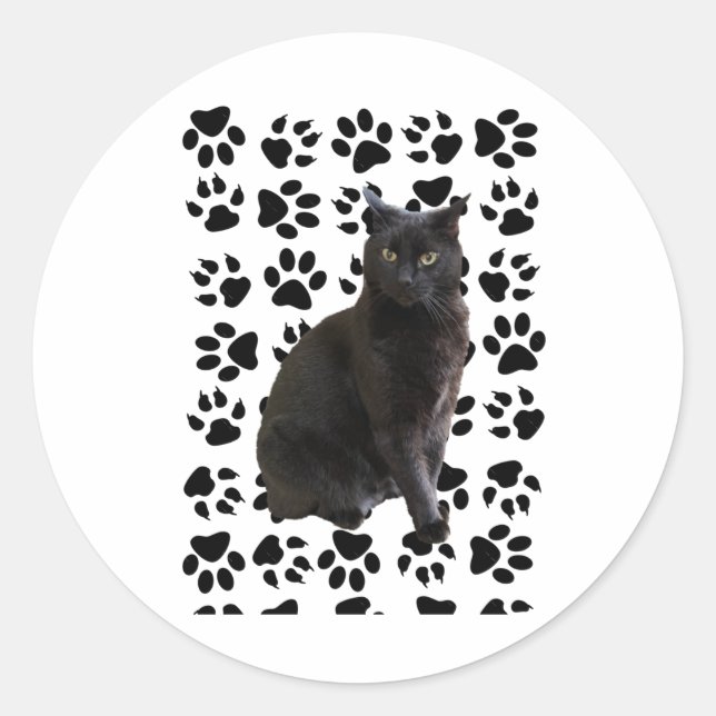 Rond Sticker Mister 4 (Devant)