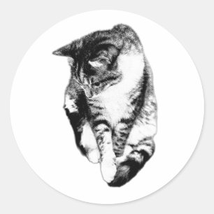Rond Sticker Monochrome Tabby Cat