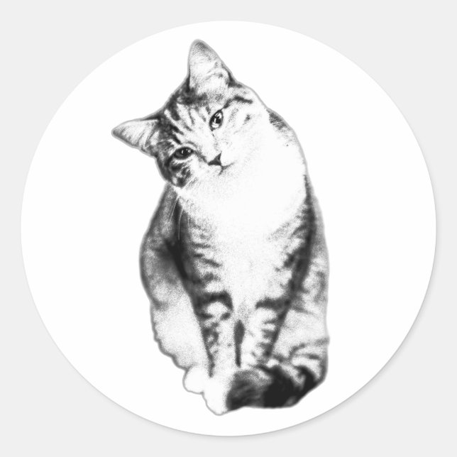 Rond Sticker Monochrome Tabby Tête (Devant)