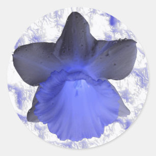 Rond Sticker Moody Blue Driding Daffodil