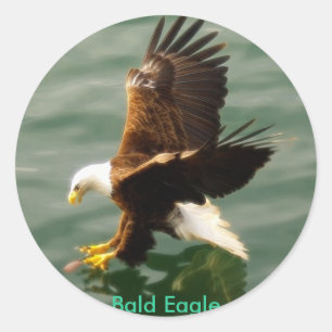 Rond Sticker Motivationnel Eagle de pêche