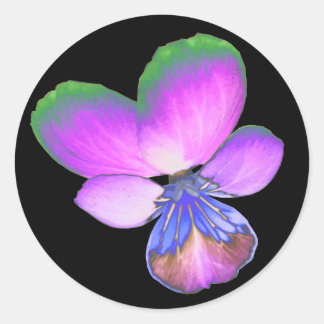 Rond Sticker Pansy