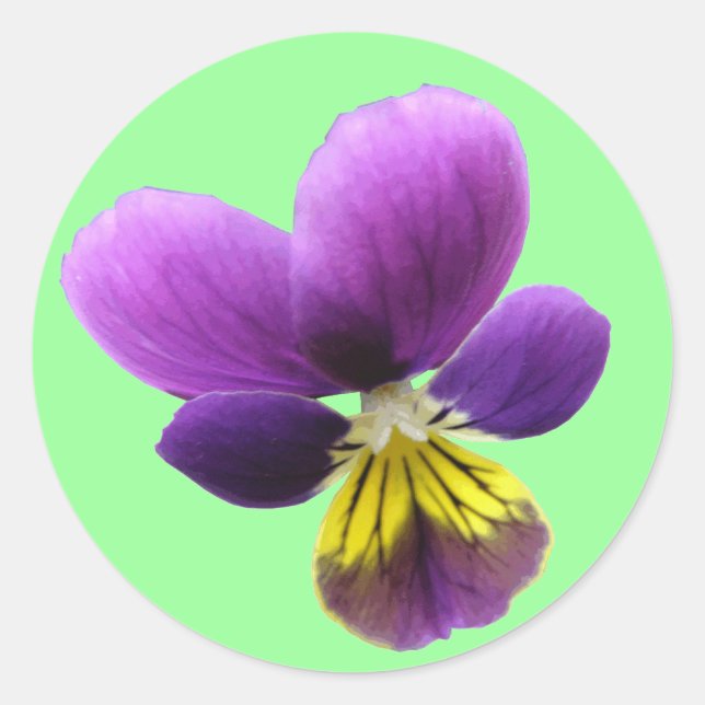 Rond Sticker Pansy (Devant)