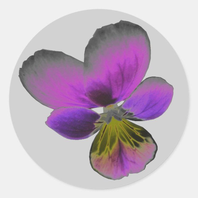 Rond Sticker Pansy Wild Dark Purple (Devant)