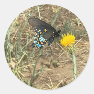 Rond Sticker papillon