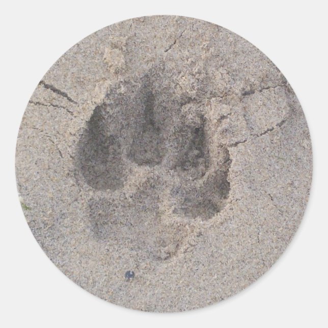 Rond Sticker Pawprint (Devant)