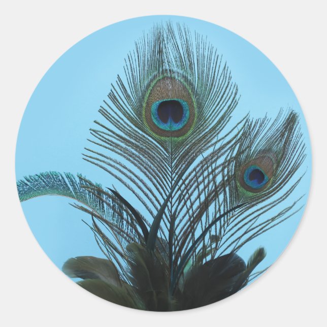 Rond Sticker Peacock élégant (turquoise) (Devant)