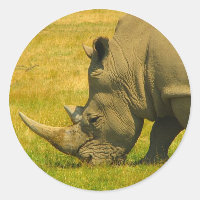 Rond Sticker photo Rhino (Devant)