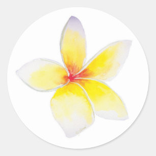 Rond Sticker Plumeria Jaune