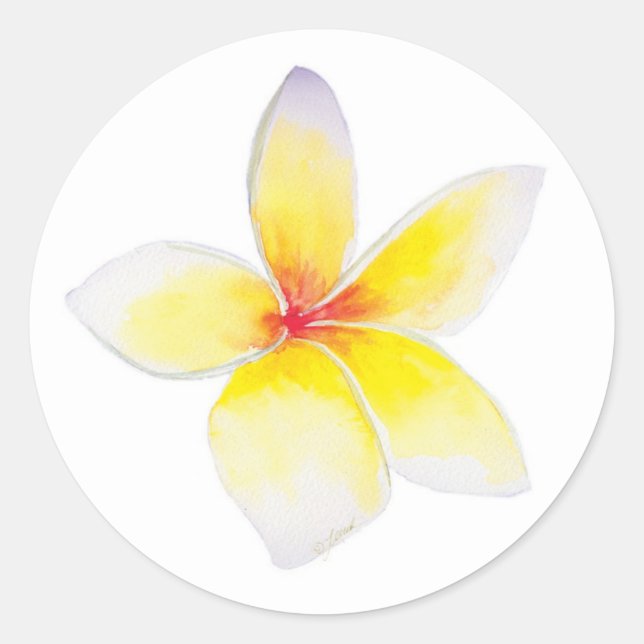 Rond Sticker Plumeria Jaune (Devant)