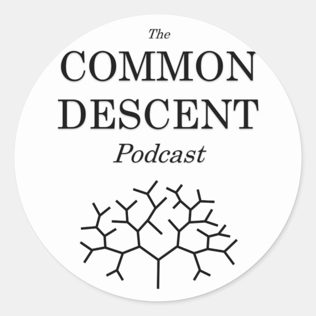 Rond Sticker Podcast Descent (Devant)