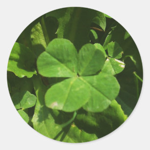 Rond Sticker Porte-bonheur