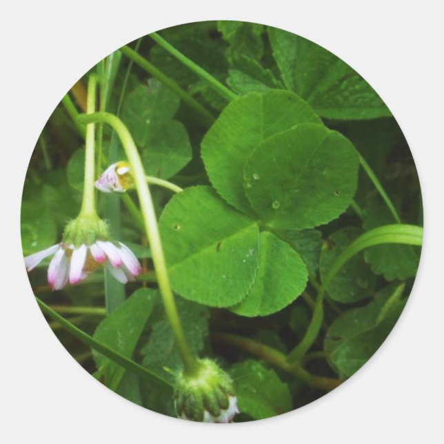 Rond Sticker Porte-bonheur - Lucky Charm (Devant)