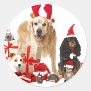 ROND STICKER POUR ANIMAUX DE NOËL