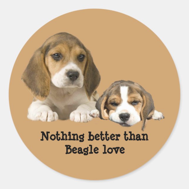 Rond Sticker pour beagle Buddies (Devant)