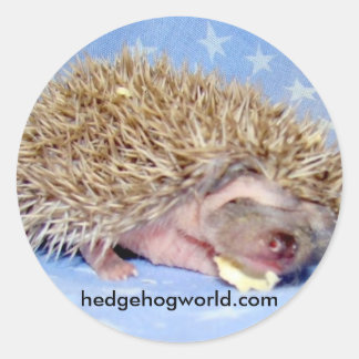 Rond sticker pour bébé doux