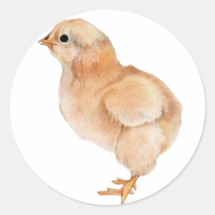 Rond Sticker pour bébé poussette
