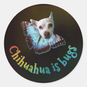 Rond Sticker pour bug Yuki