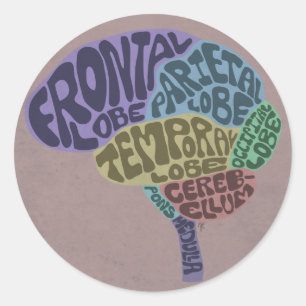 Rond Sticker pour cerveau