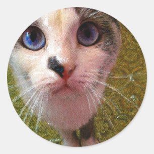 Rond Sticker pour chat