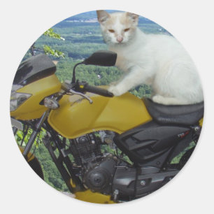 Rond Sticker pour chat