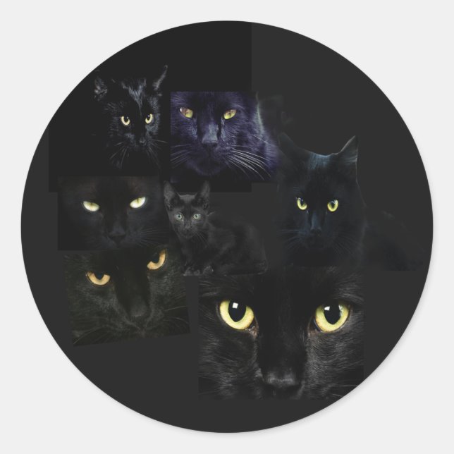 Rond Sticker pour chats (Devant)