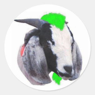 Rond Sticker pour chèvre de Baad