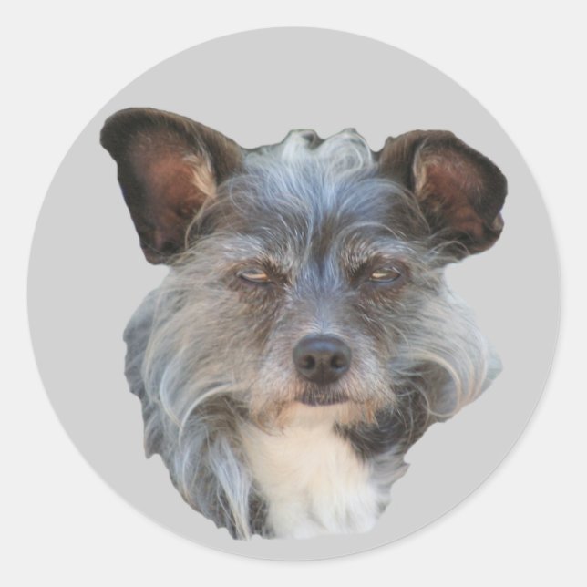 Rond Sticker pour chien de mouton Mutt de race mixte Te (Devant)