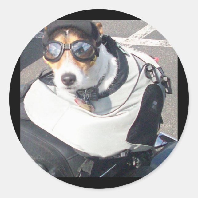 Rond Sticker pour chien de porc (Devant)